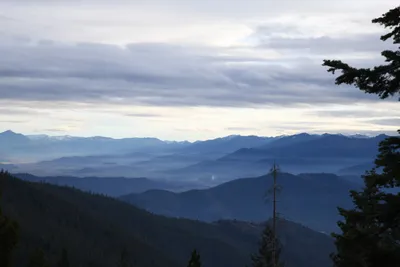 DSC_0065 (Large).JPG